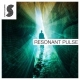 Samplephonics Resonant Pulse MULTiFORMAT = 1GB